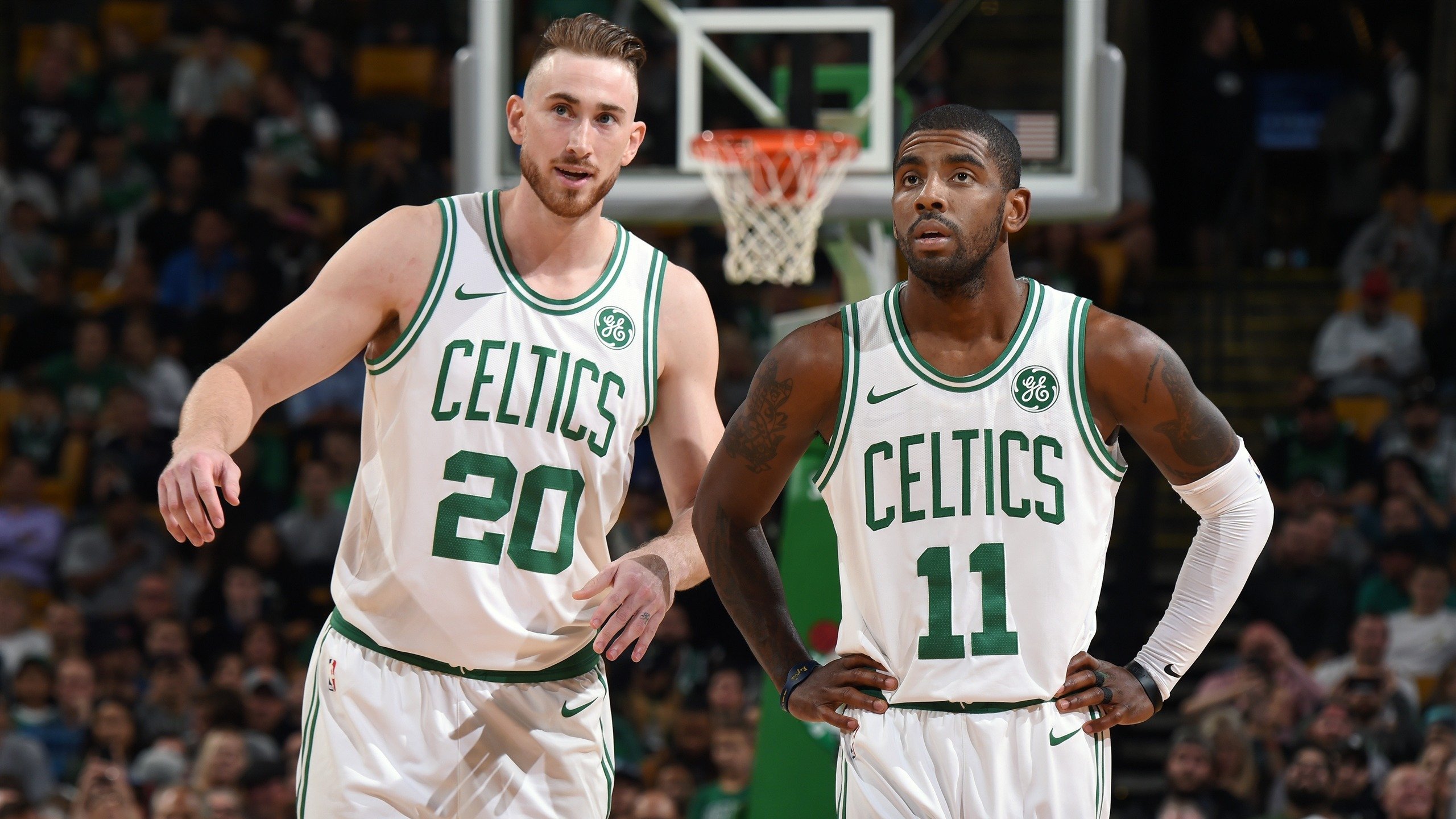 游泳场馆推广儿童学游标准化教学与结业证书制度，游泳馆规范2019